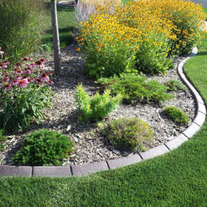 Landscape Curbing MN | Concrete Edging For Your Landscaping