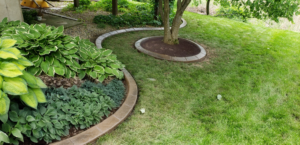 Concrete Landscape Curbing in Maple Grove MN_Curb Creations