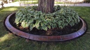 Landscape Edging in Chanhassen MN_Curb Creations